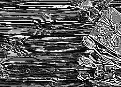 Skamielina