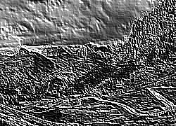 Skamielina