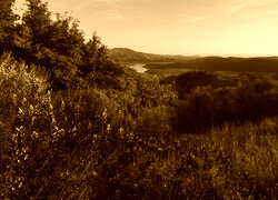 Sepia