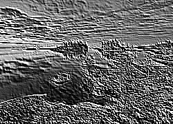 Skamielina