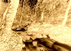 Sepia + Negatyw
