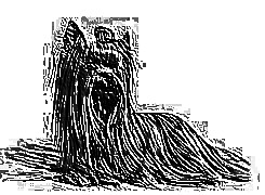Skamielina