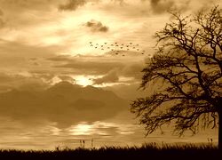 Sepia