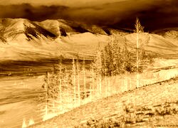Sepia + Negatyw