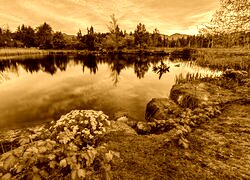 Sepia