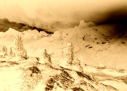 Sepia + Negatyw