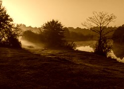 Sepia