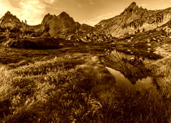 Sepia