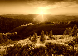 Sepia