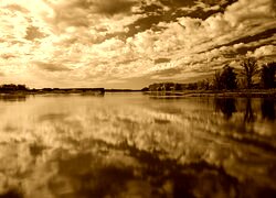 Sepia