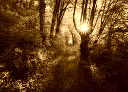Sepia