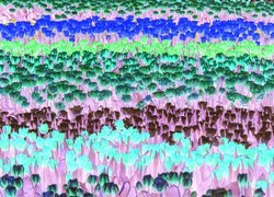 Negatyw