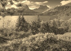 Szary + Sepia