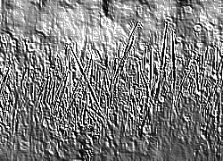 Skamielina