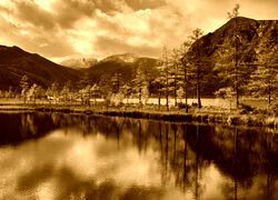 Sepia