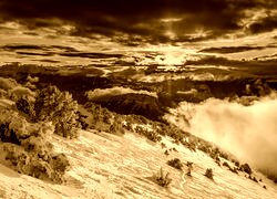 Sepia
