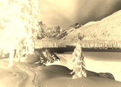 Sepia + Negatyw