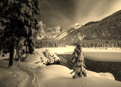 Szary + Sepia