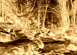 Sepia + Negatyw