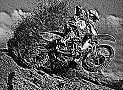 Skamielina