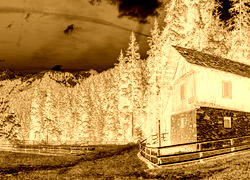 Sepia + Negatyw