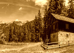 Sepia