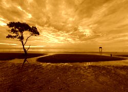 Sepia