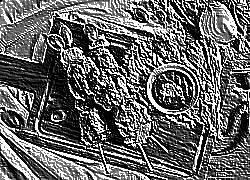 Skamielina