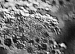 Skamielina