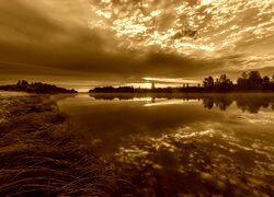 Sepia