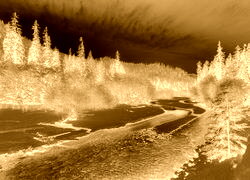 Sepia + Negatyw