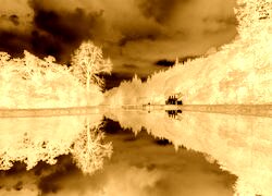 Sepia + Negatyw