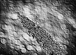 Skamielina