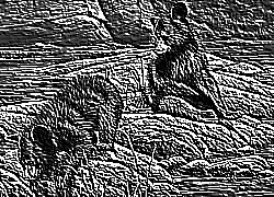 Skamielina
