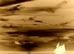 Sepia + Negatyw