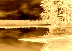 Sepia + Negatyw