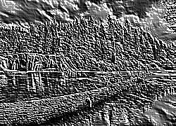 Skamielina