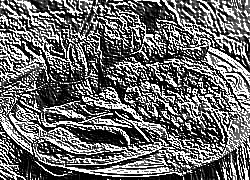 Skamielina