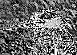Skamielina
