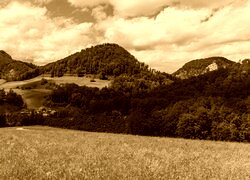 Sepia