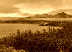 Sepia