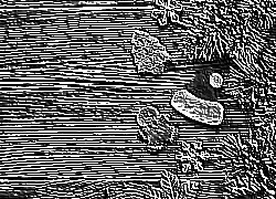 Skamielina