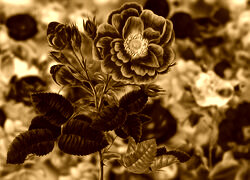 Sepia