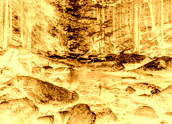 Sepia + Negatyw