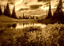 Sepia