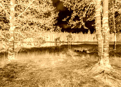 Sepia + Negatyw
