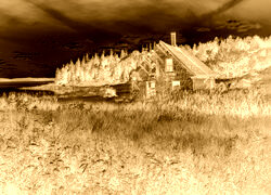 Sepia + Negatyw