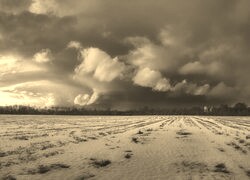Szary + Sepia