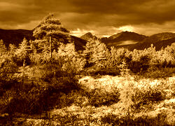 Sepia