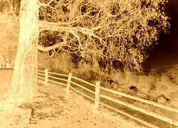 Sepia + Negatyw
